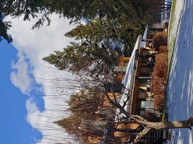 Resort Map Fairmont Mountainside Vacation Villas vrogue.co